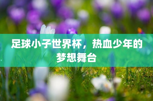 足球小子世界杯，热血少年的梦想舞台