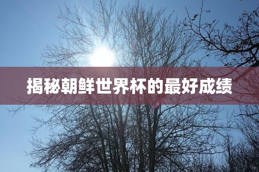 揭秘朝鲜世界杯的最好成绩