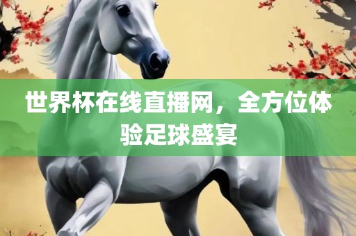 世界杯在线直播网，全方位体验足球盛宴