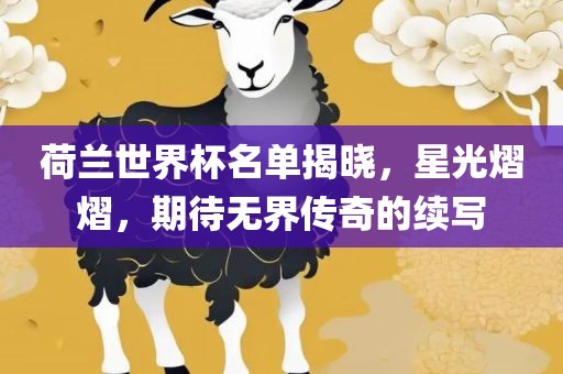 荷兰世界杯名单揭晓，星光熠熠，期待无界传奇的续写