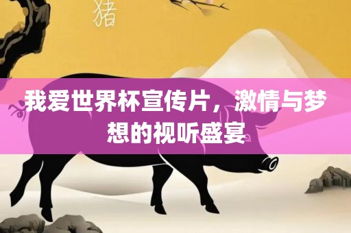 我爱世界杯宣传片，激情与梦想的视听盛宴