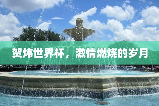 贺炜世界杯，激情燃烧的岁月