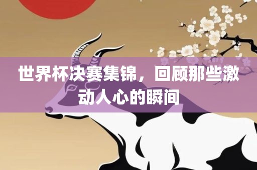 世界杯决赛集锦，回顾那些激动人心的瞬间