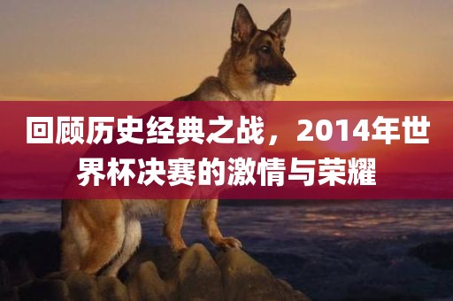 回顾历史经典之战，2014年世界杯决赛的激情与荣耀