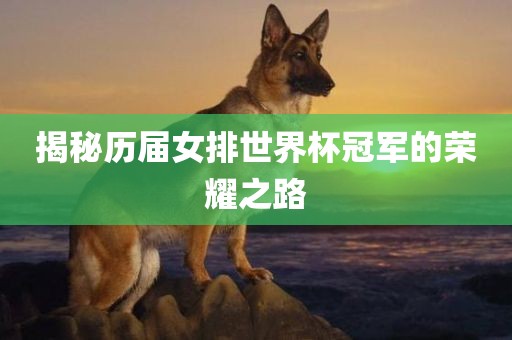 揭秘历届女排世界杯冠军的荣耀之路