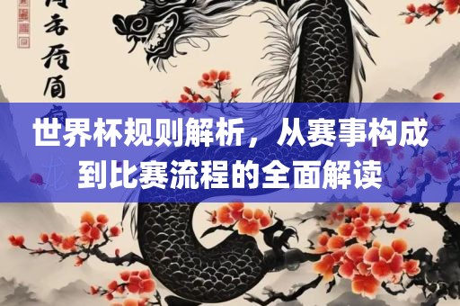 世界杯规则解析，从赛事构成到比赛流程的全面解读