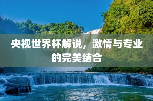 央视世界杯解说，激情与专业的完美结合