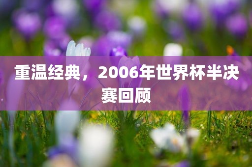 重温经典，2006年世界杯半决赛回顾
