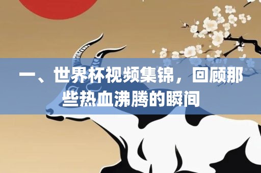一、世界杯视频集锦，回顾那些热血沸腾的瞬间