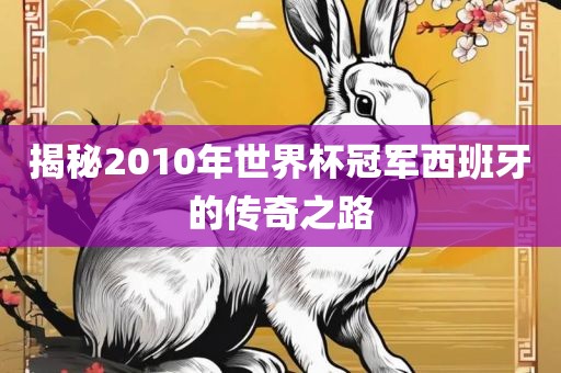 揭秘2010年世界杯冠军西班牙的传奇之路