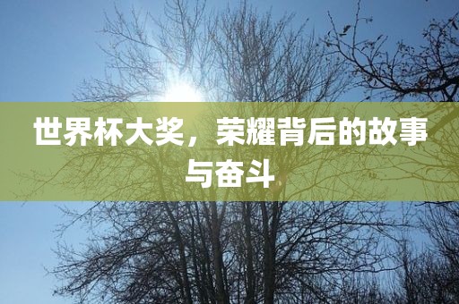 世界杯大奖，荣耀背后的故事与奋斗
