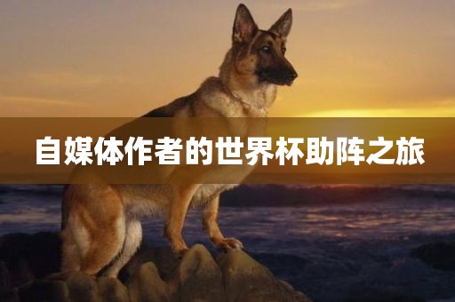 自媒体作者的世界杯助阵之旅