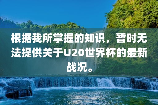 根据我所掌握的知识，暂时无法提供关于U20世界杯的最新战况。