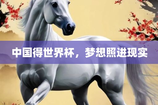 中国得世界杯，梦想照进现实