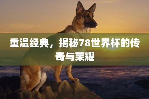 重温经典，揭秘78世界杯的传奇与荣耀