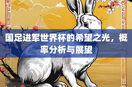 国足进军世界杯的希望之光，概率分析与展望