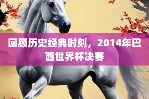 回顾历史经典时刻，2014年巴西世界杯决赛