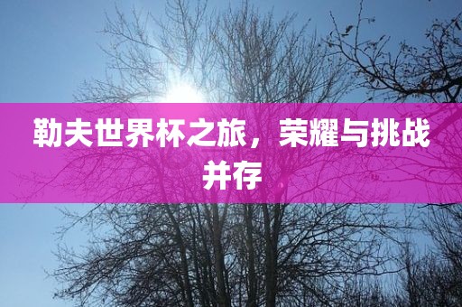 勒夫世界杯之旅，荣耀与挑战并存
