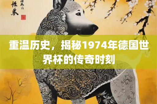 重温历史，揭秘1974年德国世界杯的传奇时刻