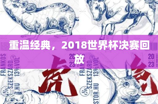 重温经典，2018世界杯决赛回放