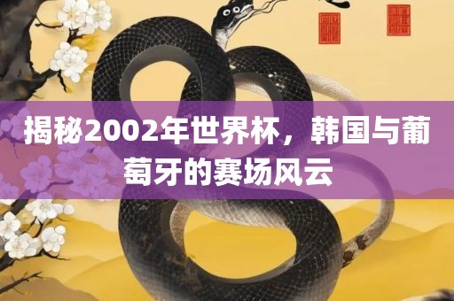 揭秘2002年世界杯，韩国与葡萄牙的赛场风云