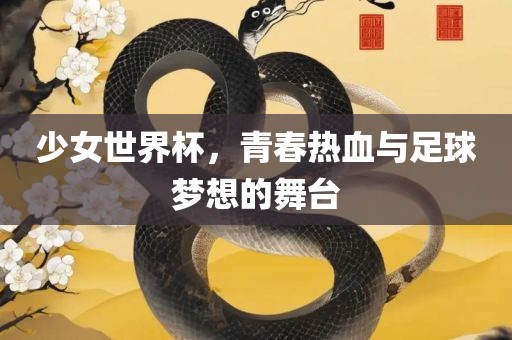 少女世界杯，青春热血与足球梦想的舞台