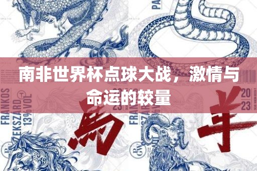 南非世界杯点球大战，激情与命运的较量