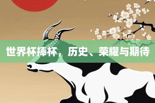 世界杯捧杯，历史、荣耀与期待