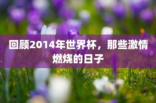 回顾2014年世界杯，那些激情燃烧的日子