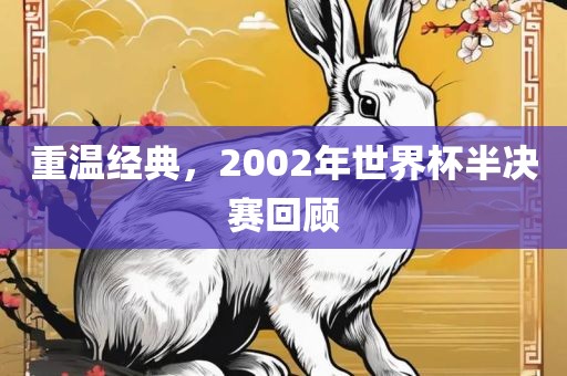 重温经典，2002年世界杯半决赛回顾