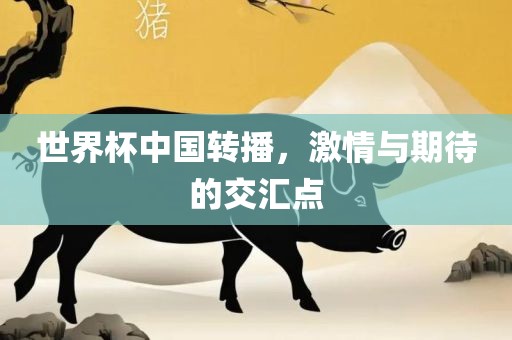 世界杯中国转播，激情与期待的交汇点