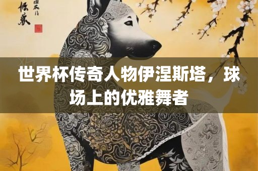 世界杯传奇人物伊涅斯塔，球场上的优雅舞者