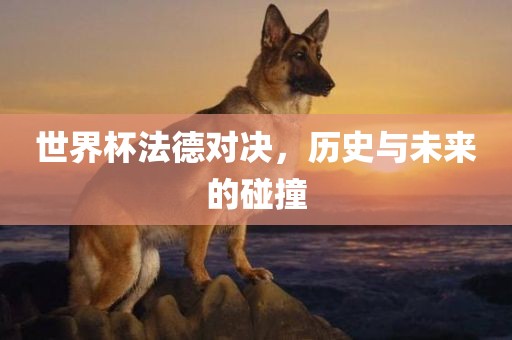 世界杯法德对决，历史与未来的碰撞