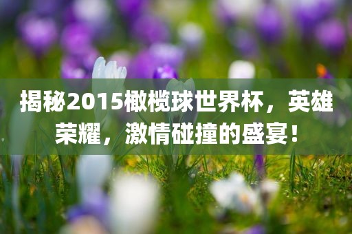 揭秘2015橄榄球世界杯，英雄荣耀，激情碰撞的盛宴！