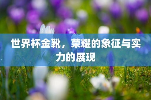 世界杯金靴，荣耀的象征与实力的展现