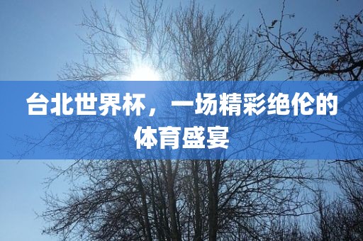 台北世界杯，一场精彩绝伦的体育盛宴