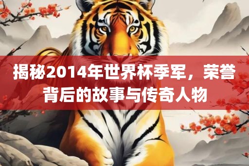 揭秘2014年世界杯季军，荣誉背后的故事与传奇人物