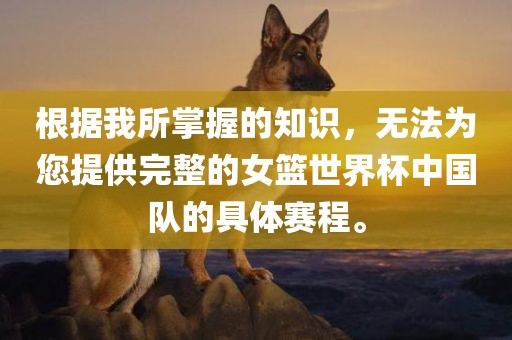 根据我所掌握的知识，无法为您提供完整的女篮世界杯中国队的具体赛程。