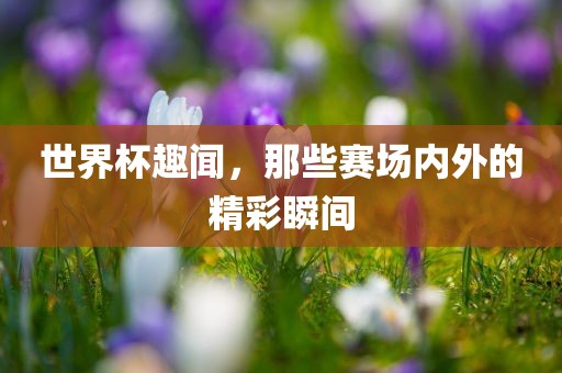 世界杯趣闻，那些赛场内外的精彩瞬间