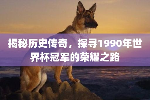 揭秘历史传奇，探寻1990年世界杯冠军的荣耀之路