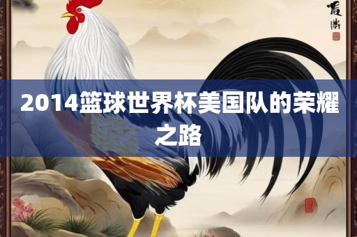 2014篮球世界杯美国队的荣耀之路