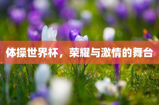 体操世界杯，荣耀与激情的舞台
