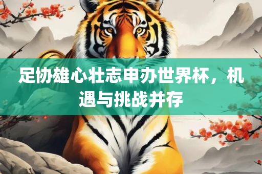 足协雄心壮志申办世界杯，机遇与挑战并存