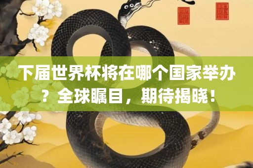 下届世界杯将在哪个国家举办？全球瞩目，期待揭晓！