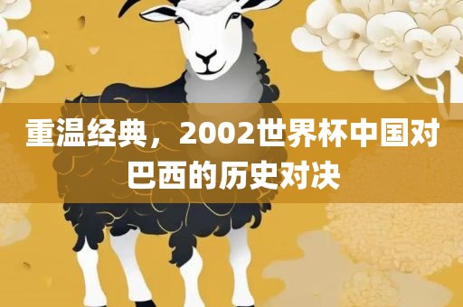 重温经典，2002世界杯中国对巴西的历史对决