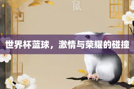 世界杯蓝球，激情与荣耀的碰撞