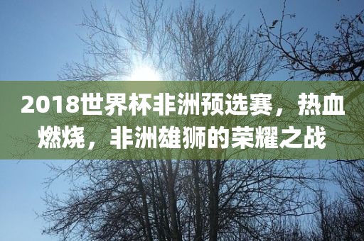 2018世界杯非洲预选赛，热血燃烧，非洲雄狮的荣耀之战