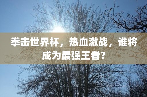 拳击世界杯，热血激战，谁将成为最强王者？