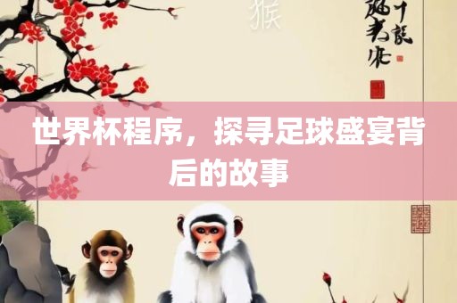 世界杯程序，探寻足球盛宴背后的故事