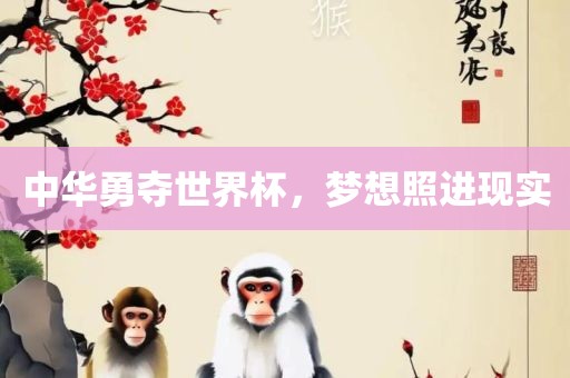 中华勇夺世界杯，梦想照进现实